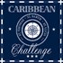 Guardanapo GD-84 (13307857) Caribbean Challenge - com 1 unidade