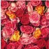 Guardanapo para Decoupage Arte Fácil GU-040 Rosas Coloridas